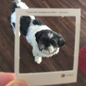 Meet your Posher, Kc